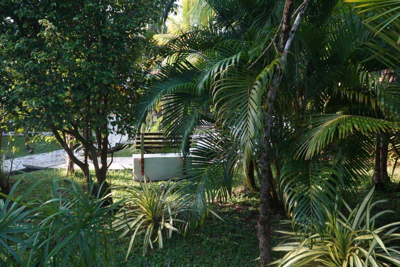 Red Coconut Villa Μπεντότα Εξωτερικό φωτογραφία
