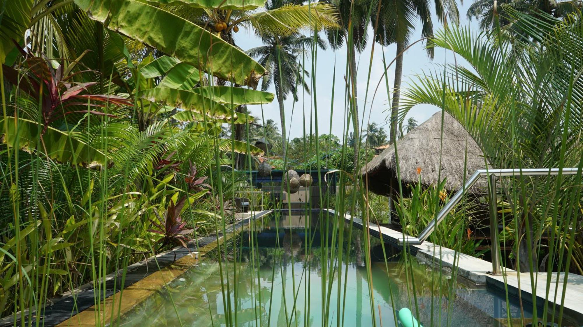 Red Coconut Villa Μπεντότα Εξωτερικό φωτογραφία