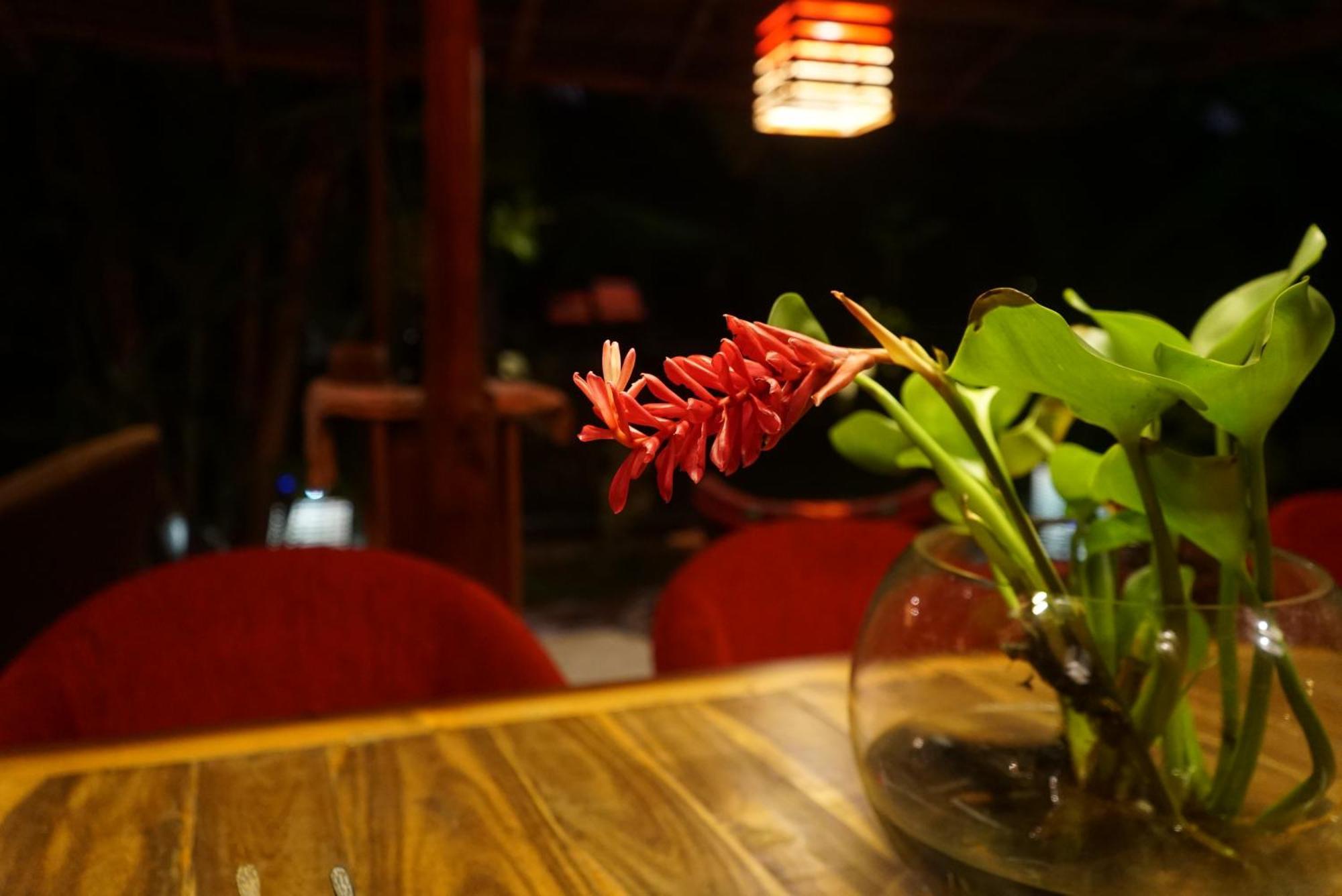Red Coconut Villa Μπεντότα Εξωτερικό φωτογραφία