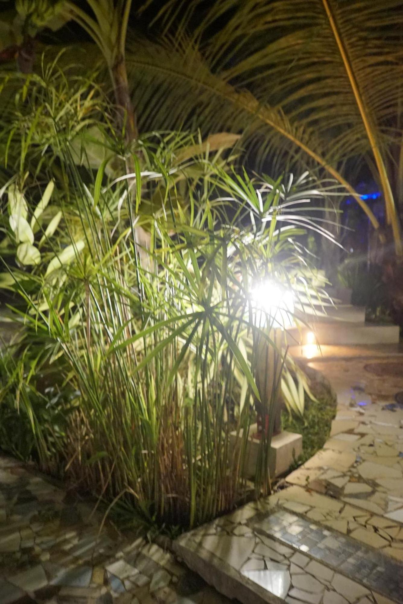 Red Coconut Villa Μπεντότα Εξωτερικό φωτογραφία
